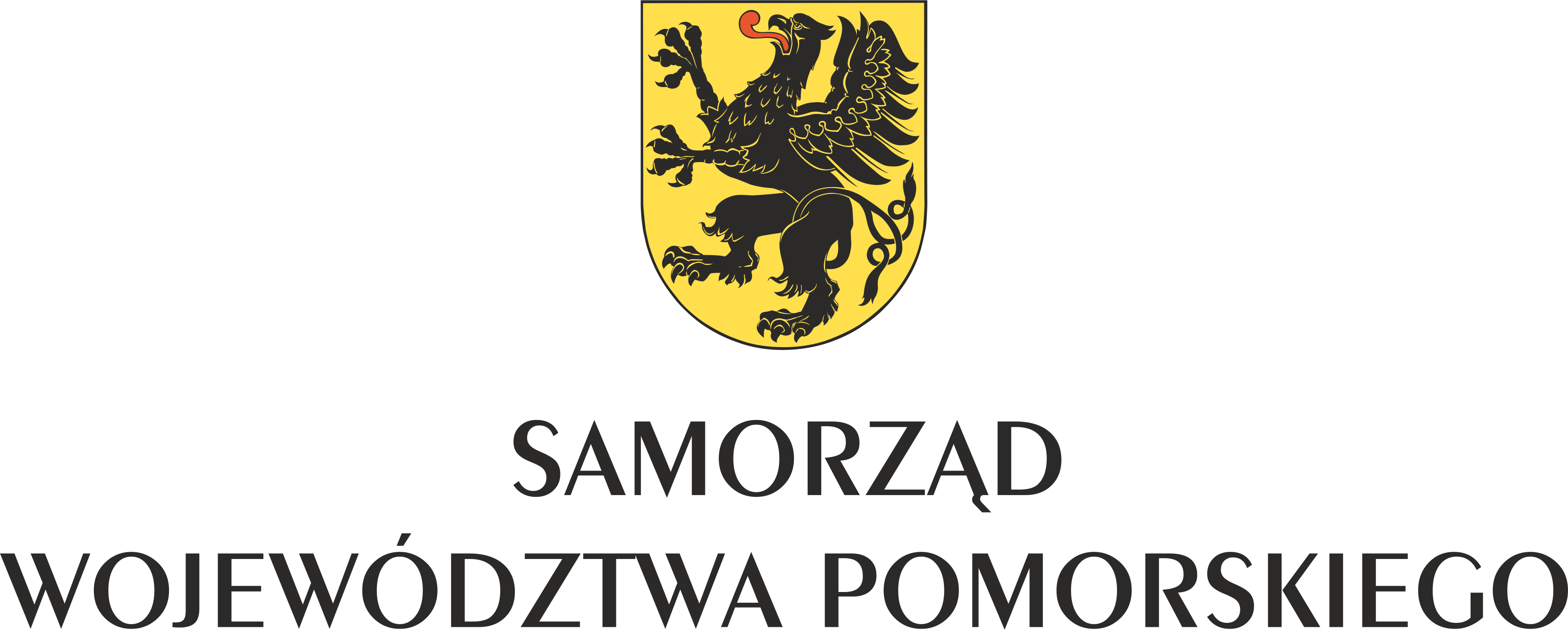 SWP-pion-kolor-2021